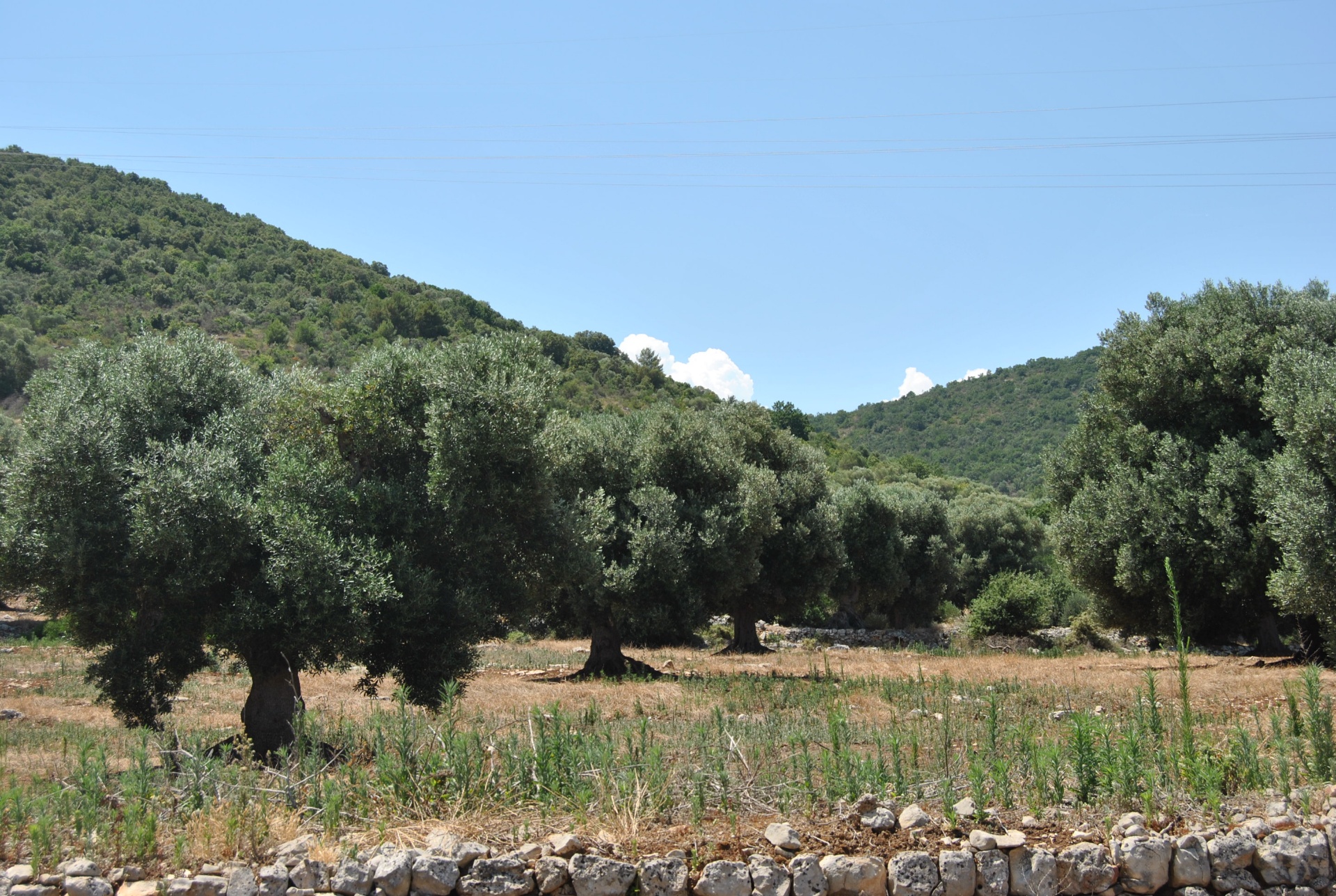 La nostra campagna